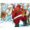 Weihnachtsmann & Rentiere