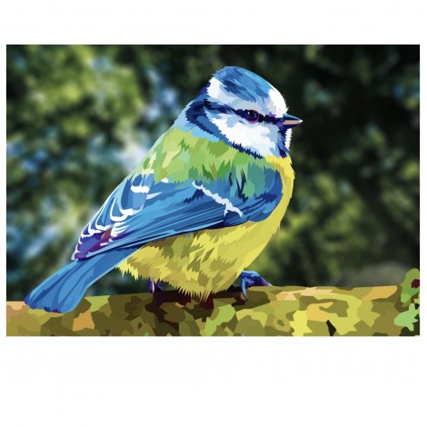 Blaumeise | Exklusivität