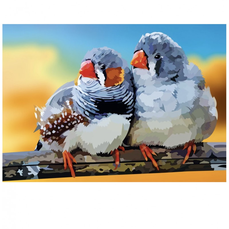 Zebrafinken | Exklus...