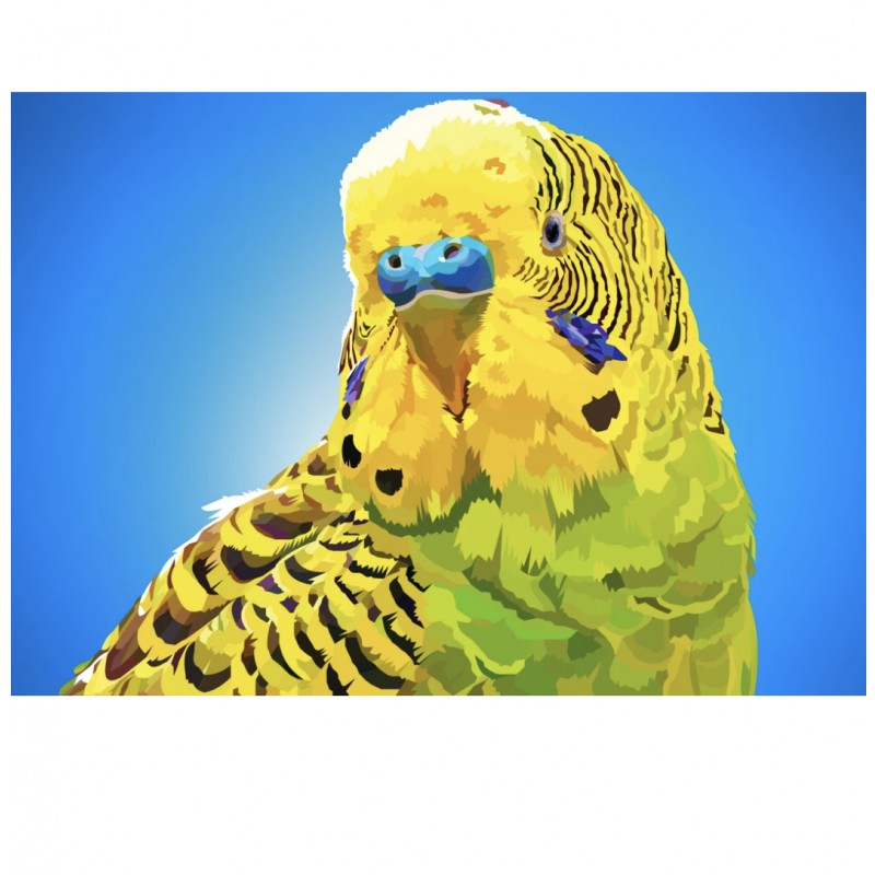 Sittich | Exklusivit...