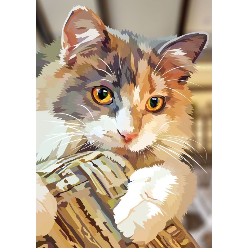 Katze | Exklusivitä...