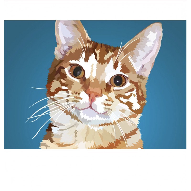 Katze | Exklusivitä...