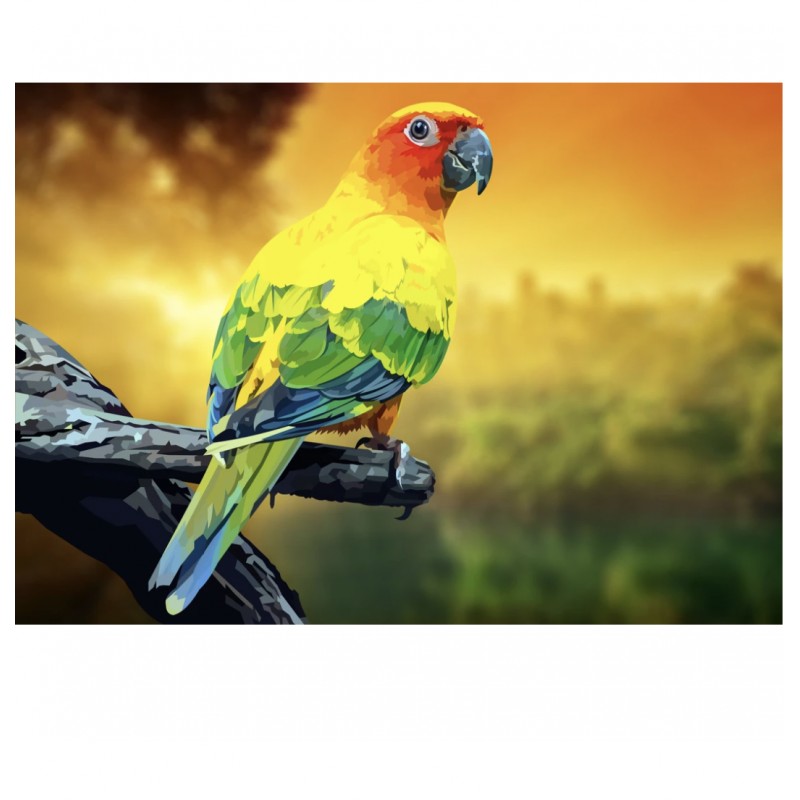 Papagei | Exklusivit...