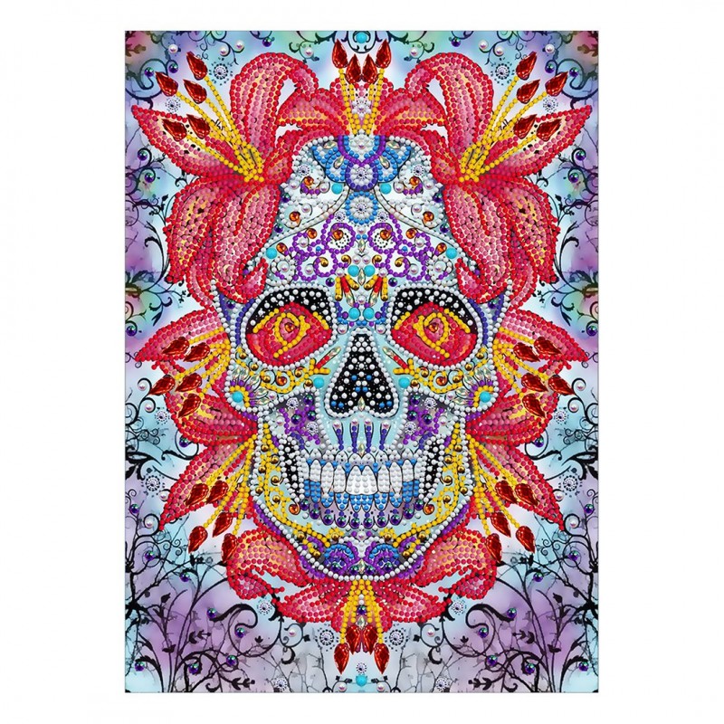 Schädel Im Dunklen ...