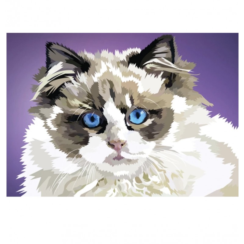 Katze | Exklusivitä...