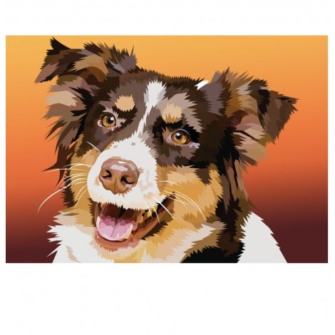 Bordercollie | Exklusivität