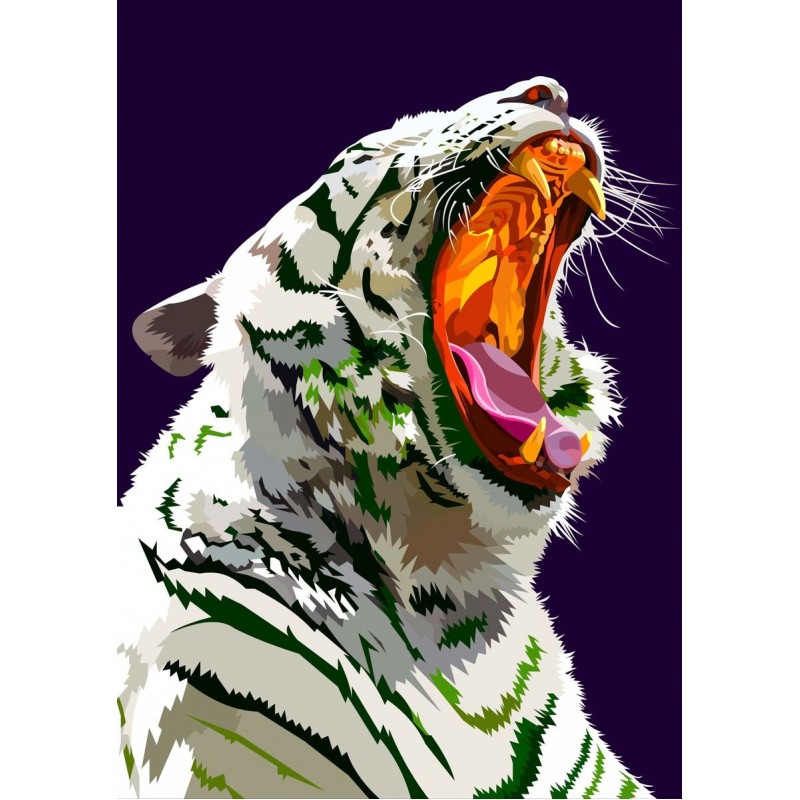 Weißer Tiger | Exkl...