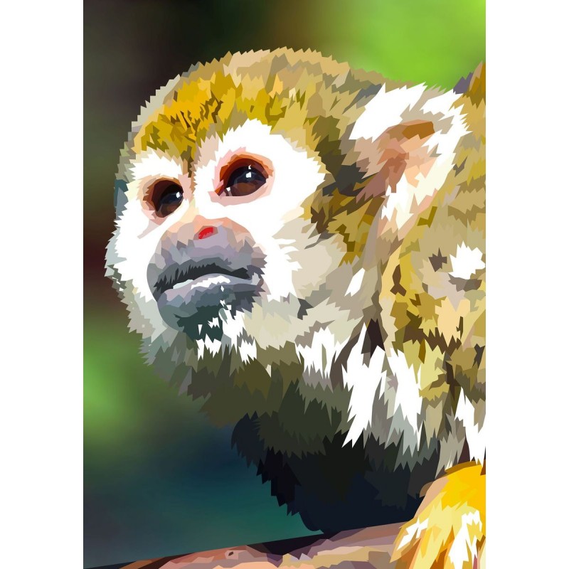 Totenkopfäffchen | ...