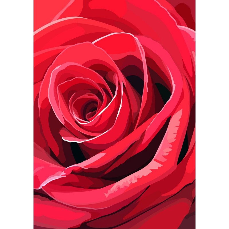 Rote Rose | Exklusiv...