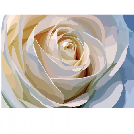 Weiße Rose | Exklusivität