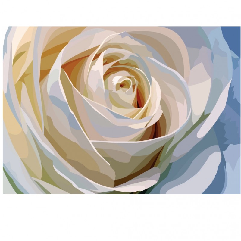Weiße Rose | Exklus...