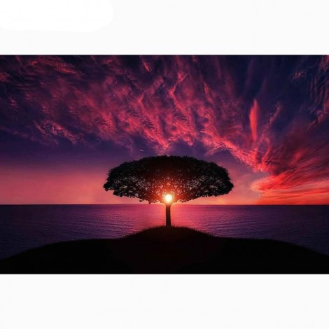 Sonnenuntergang - Baum