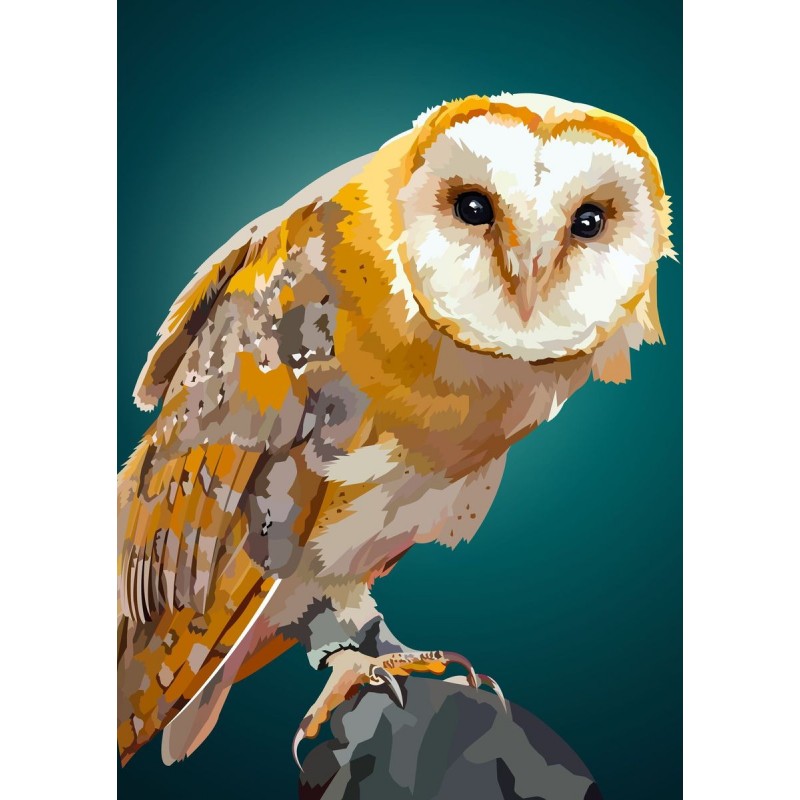 Schleiereule | Exklu...