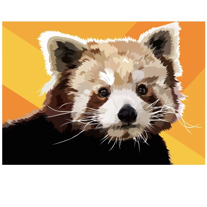 Kleiner Panda | Exkl...