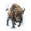 Bison