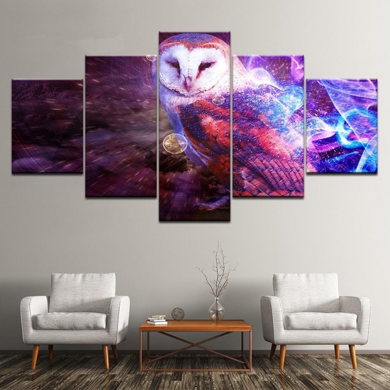 Schleiereule | 5 Pan...