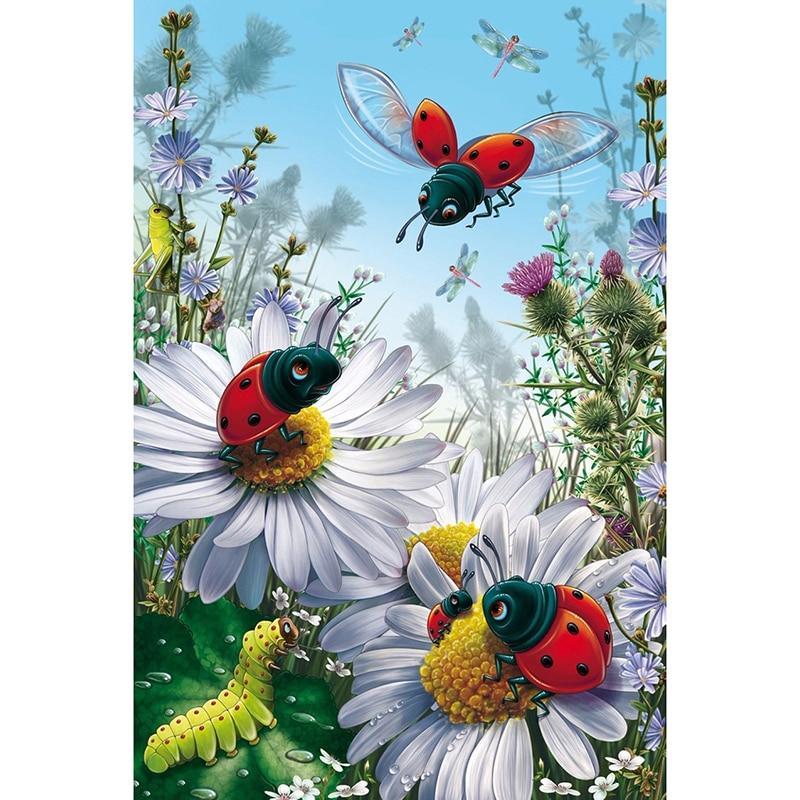 Gänseblümchen - Ma...