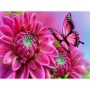 Rosa Blume - Schmetterling