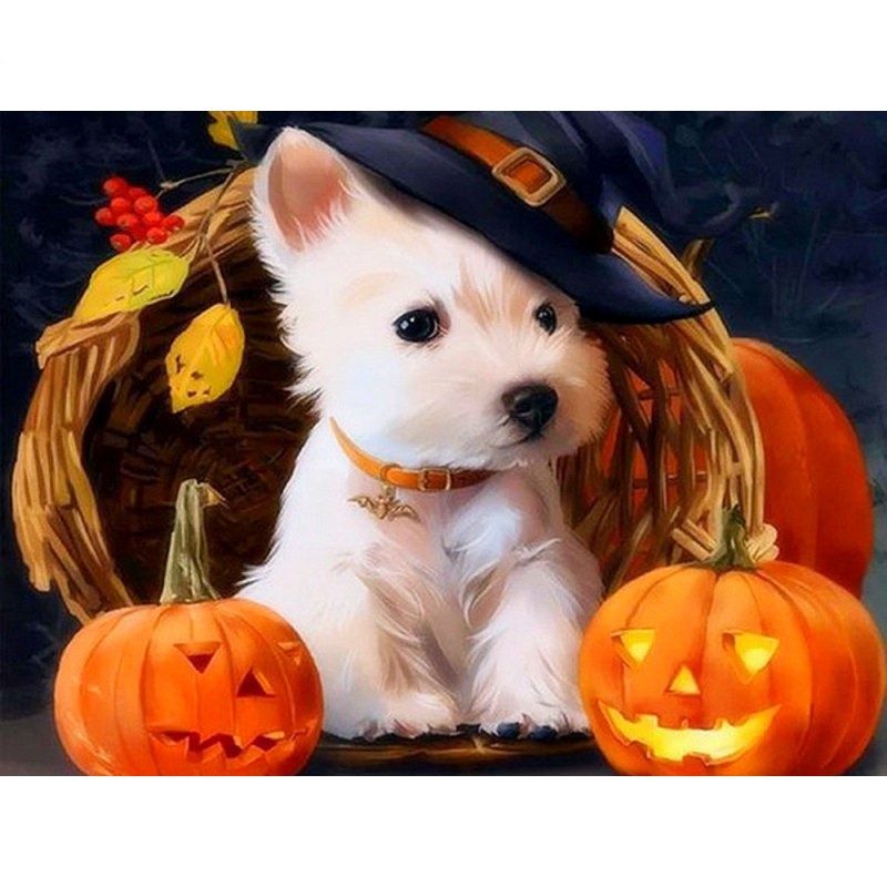 West Highland Weiße...