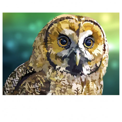 Eule | Exklusivität