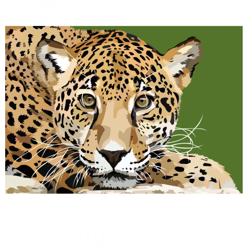 Leopard | Exklusivit...