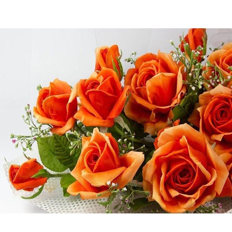 Orange Rose
