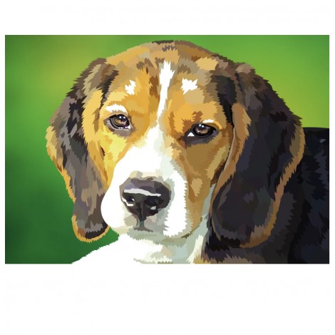 Beagle | Exklusivität