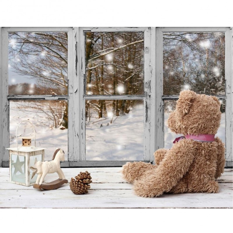 Bär Am Fensterbrett